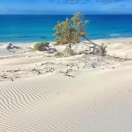 Сasa de vacaciones Vacanze Il Sogno 2