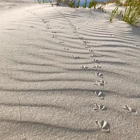 Vacanze Il Sogno 2 Nyaraló