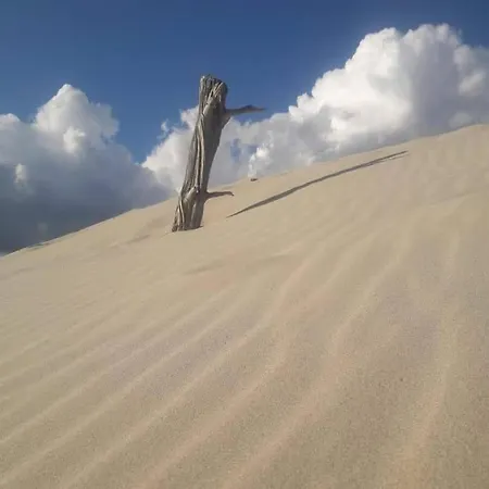 Dom wakacyjny Vacanze Il Sogno 2